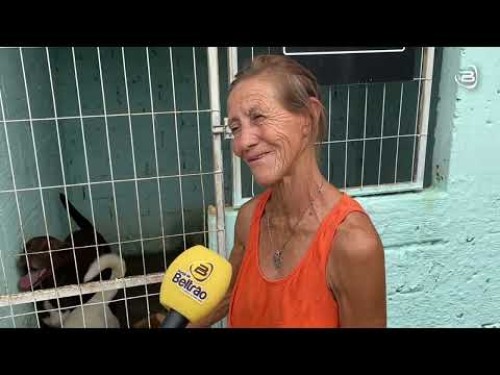 Com 63 anos Dona Nira cuida de quase 70 cães em sua casa